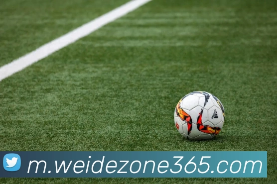 伟德国际品牌故事